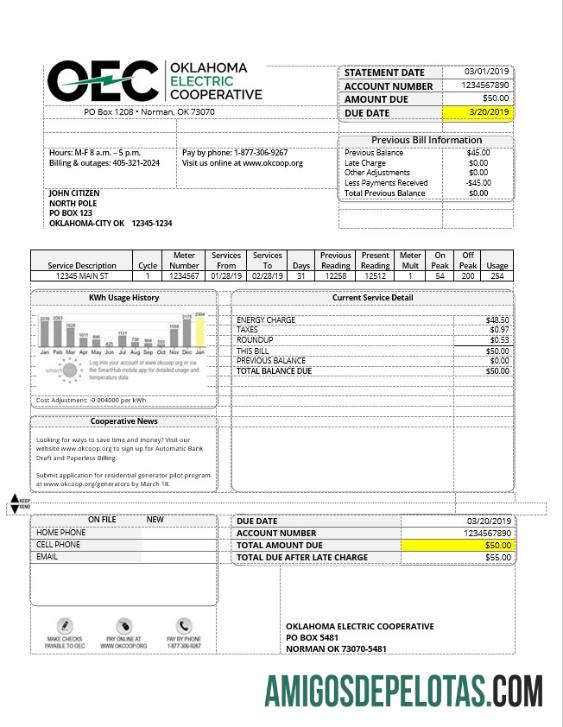 imprimível Modelo de conta de serviço público de eletricidade OEC dos EUA em formato Word e PDF